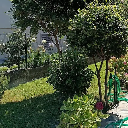 Il Nido * Marina di Massa