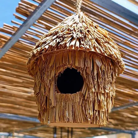 Vakantiehuis Il Nido Marina di Massa