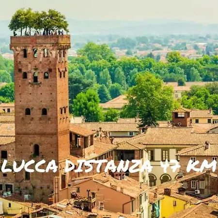 Il Nido *